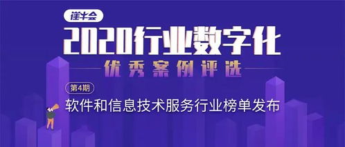 榜單 軟件和信息技術服務行業最佳案例
